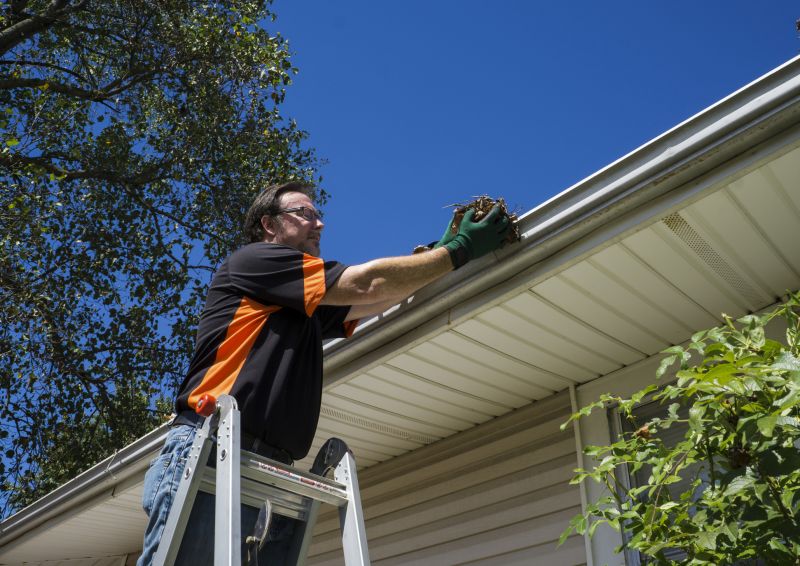 Professional Gutter Cleaning
