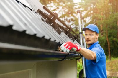 Local Gutter Cleaning Services